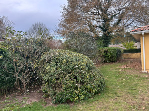 Photo de galerie - Après