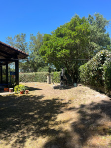 Photo de galerie - Remise en état d’un jardin laissé à l’abandon 