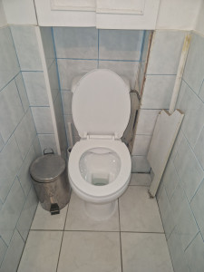 Photo de galerie - Changement wc 