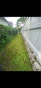 Photo de galerie - Taille de haies et d'arbustes