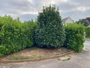 Photo de galerie - Terrassement - Assainissement