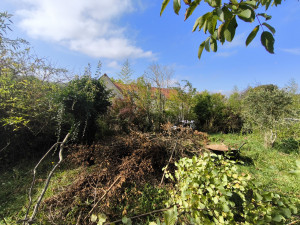 Photo de galerie - Abbatage d'arbres 