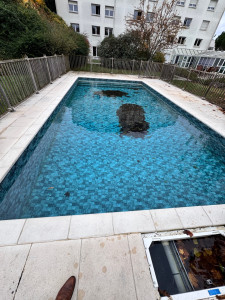 Photo de galerie - Piscine en hivernage 