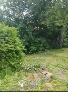 Photo de galerie - Jardinier