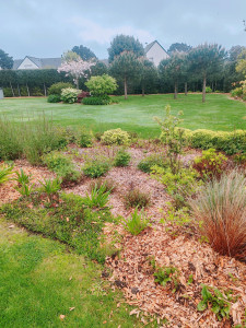 Photo de galerie - Paillage de massif
