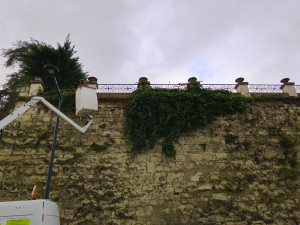 Photo de galerie - Paysagiste - Aménagement du jardin