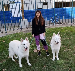 Photo de galerie - Promenades chiens