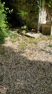 Photo de galerie - Avant désherbage 