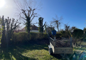 Photo de galerie - Paysagiste - Aménagement du jardin