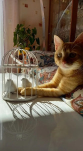 Photo de galerie - Détente au soleil