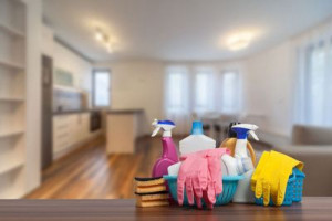Photo de galerie - Repassage et Lessive : Déléguez vos tâches ménagères et bénéficiez d'un linge propre et repassé, prêt à être rangé.