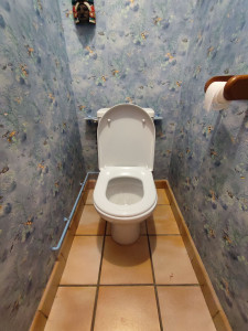 Photo de galerie - Changement de wc