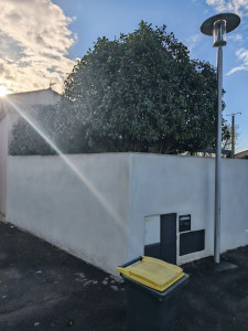 Photo de galerie - Taille de haie et arbre
