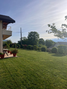 Photo de galerie - Tonte 