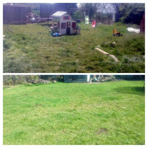 Photo de galerie - Un terrain en friche ? faite nous confiance ! AdnPro 