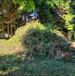 Photo de galerie - Avant! Énorme tas de déchet vert 3m de haut.