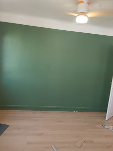 Photo de galerie - Très belle couleur verte