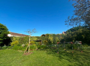 Photo de galerie - Un peut plus de 100 mètre de haie sur la commune de vert le petit  