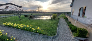 Photo de galerie - Tonte de pelouse - Débroussaillage