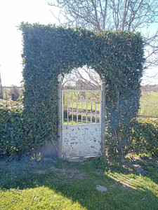 Photo de galerie - -Taillage de haies