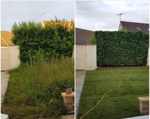 Photo de galerie - Taille de haies et d'arbustes