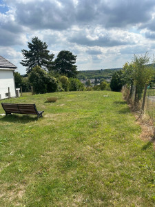 Photo de galerie - Tonte de pelouse 