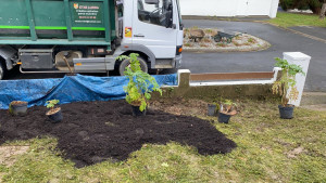 Photo de galerie - Paysagiste - Aménagement du jardin