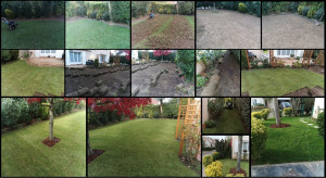 Photo de galerie - Paysagiste - Aménagement du jardin