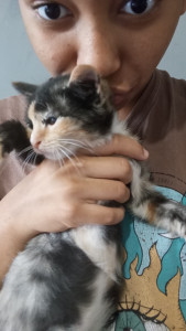 Photo de galerie - Cette est l imagen de ma vie 
Plein d amour