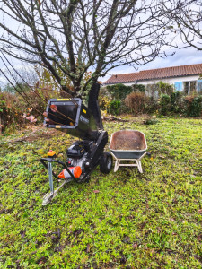 Photo de galerie - Taille de haies et d'arbustes