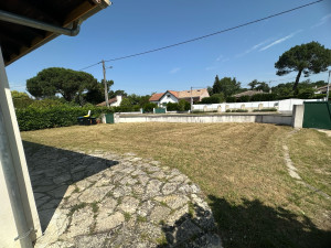 Photo de galerie - Tonte de pelouse 