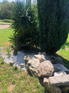 Photo de galerie - Paysagiste - Aménagement du jardin