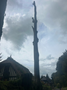 Photo de galerie - Démontage 