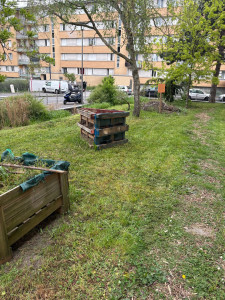 Photo de galerie - Après