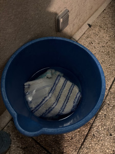 Photo de galerie - Après chaque prestation tout est désinfecté avec plusieurs changes  