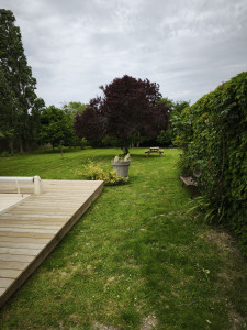 Photo de galerie - Tonte et coupe bordure 