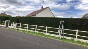 Photo de galerie - Taille de haie