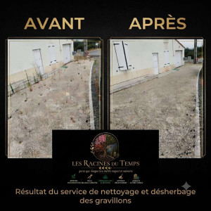 Photo de galerie - Nettoyage et désherbage des gravillons