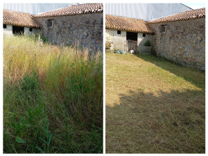 Photo de galerie - Tonte débroussaillage 