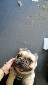 Photo de galerie - ...