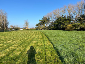 Photo de galerie - Tonte de prairie