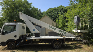 Photo de galerie - Elagage et coupe d'arbres