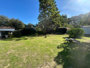 Photo de galerie - Remise à propre d’un jardin taille et évacuation des déchet 