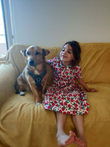 Photo de galerie - Garde de la petite Leïla chez - nous ❤️?