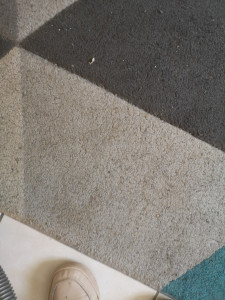 Photo de galerie - Entretien de tapis : nettoyage en profondeur pour éliminer poussières, taches et mauvaises odeurs. Cette prestation permet de redonner de la fraîcheur et de prolonger la durée de vie de votre tapis tout en respectant les fibres.