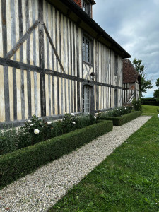 Photo de galerie - Taille de haies et d'arbustes