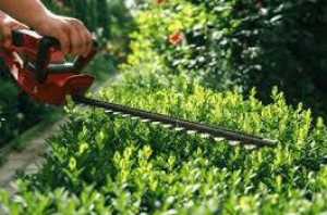 Photo de galerie - Bâtiments jardinage Multi services 