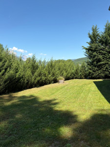 Photo de galerie - Tonte