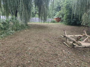 Photo de galerie - Tonte de pelouse - Débroussaillage