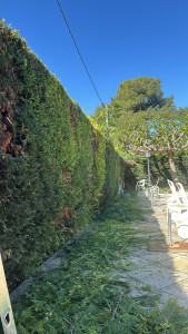 Photo de galerie - Paysagiste - Aménagement du jardin